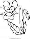 naturaleza/flores/orquidea_orquideas_2.JPG