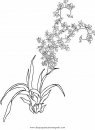 naturaleza/flores/orquidea_orquideas_4.JPG