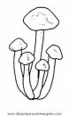 naturaleza/otono/hongo_hongos_32.JPG
