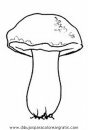 naturaleza/otono/hongo_hongos_35.JPG