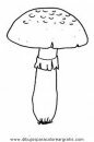 naturaleza/otono/hongo_hongos_36.JPG