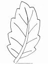 naturaleza/otono/otono_023.JPG