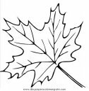 naturaleza/otono/otono_047.JPG