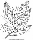 naturaleza/otono/otono_059.JPG