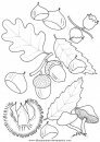 naturaleza/otono/otono_064.JPG