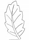 naturaleza/otono/otono_066.JPG