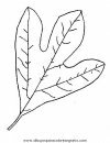 naturaleza/otono/otono_068.JPG