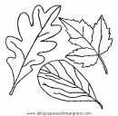 naturaleza/otono/otono_069.JPG
