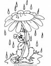 naturaleza/primavera/primavera_a10.JPG