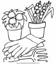 naturaleza/primavera/primavera_a11.JPG