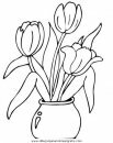 naturaleza/primavera/primavera_a18.JPG
