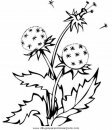naturaleza/primavera/primavera_a19.JPG