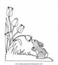 naturaleza/primavera/primavera_a23.JPG