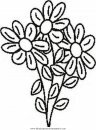 naturaleza/primavera/primavera_fiori_14.JPG