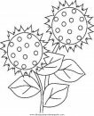 naturaleza/primavera/primavera_fiori_15.JPG