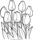 naturaleza/primavera/primavera_fiori_21.JPG