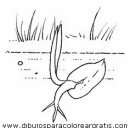 naturaleza/primavera/semillas_granos_4.JPG