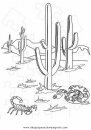 naturaleza/verano/desierto_3.JPG