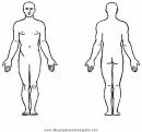 personas/cuerpo_humano/cuerpo_humano_31.JPG