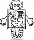 personas/cuerpo_humano/cuerpo_humano_33.JPG