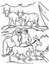 religiones/arca_noe/arca_noe_20.JPG