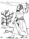 religiones/religione/religione_20.JPG